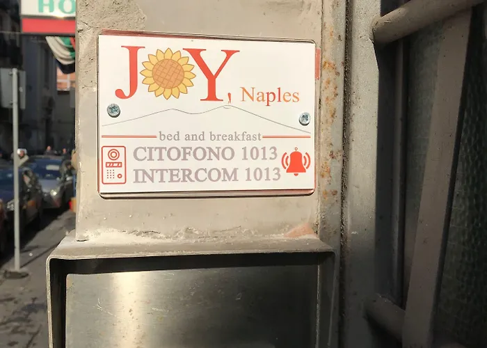Joy