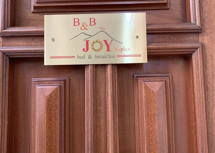 招待所 Joy 4*