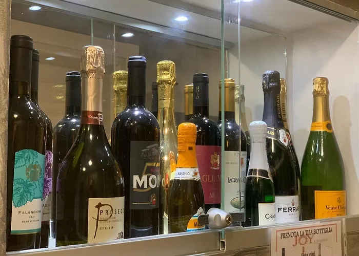 Joy בית הארחה 4*