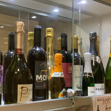 Joy Πανσιόν 4*